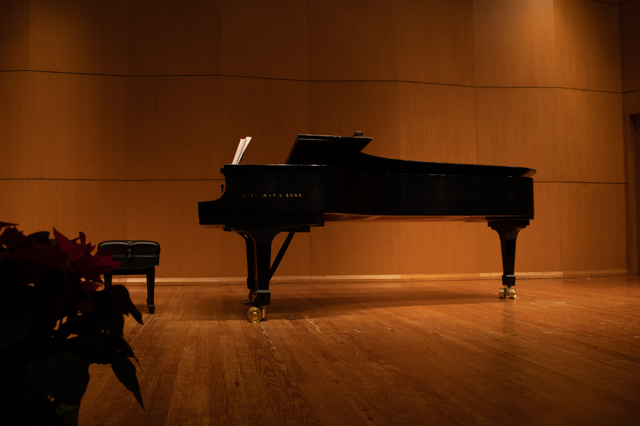 This is a photo of a black Steinway concert grand piano on a wooden stage. The keys face the left of the phot. There is a black bench in front of the keys of the piano and sheet music on the piano music stand. There are poinsettias in the left corner foreground of the image